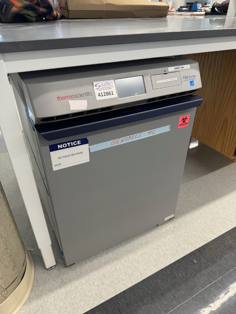 Image of Thermo TSX Series Undercounter Refrigerator